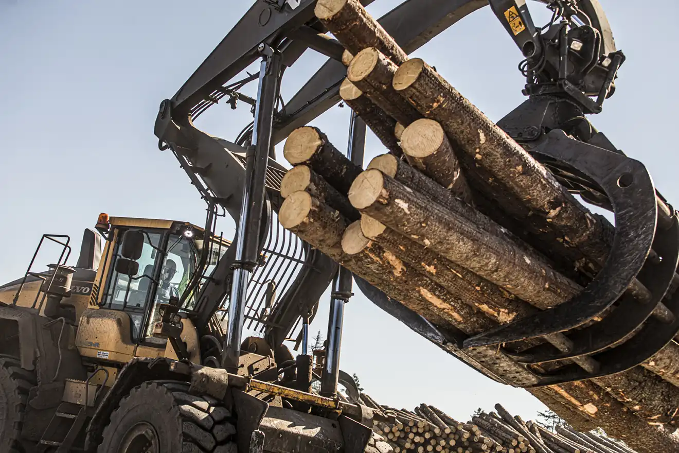 Bilde av en skogs maskin på nært